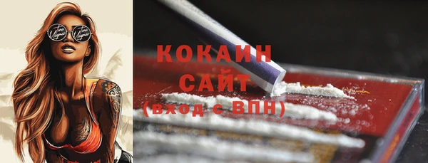 гашик Слюдянка