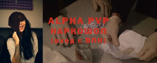 стафф Белокуриха